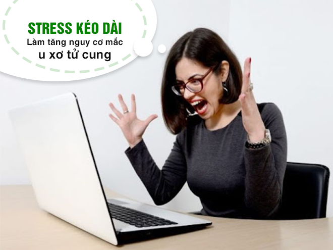Stress-keo-dai-lam-roi-loan-noi-tiet-to-tang-nguy-co-mac-u-xo-tu-cung.webp